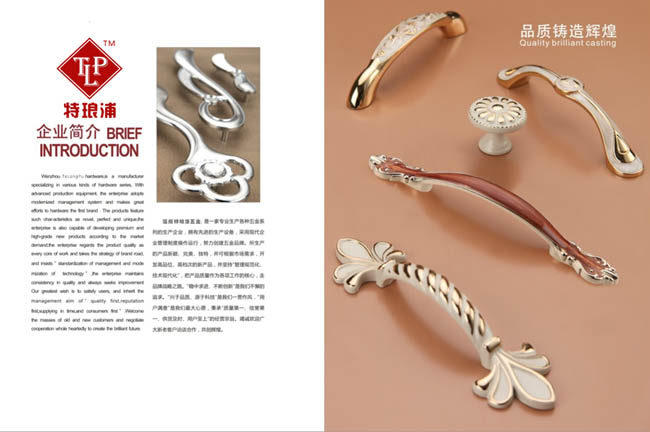 溫州特瑯浦五金產(chǎn)品樣å†?.jpg 溫州特瑯浦五金產(chǎn)品樣å†?.jpg