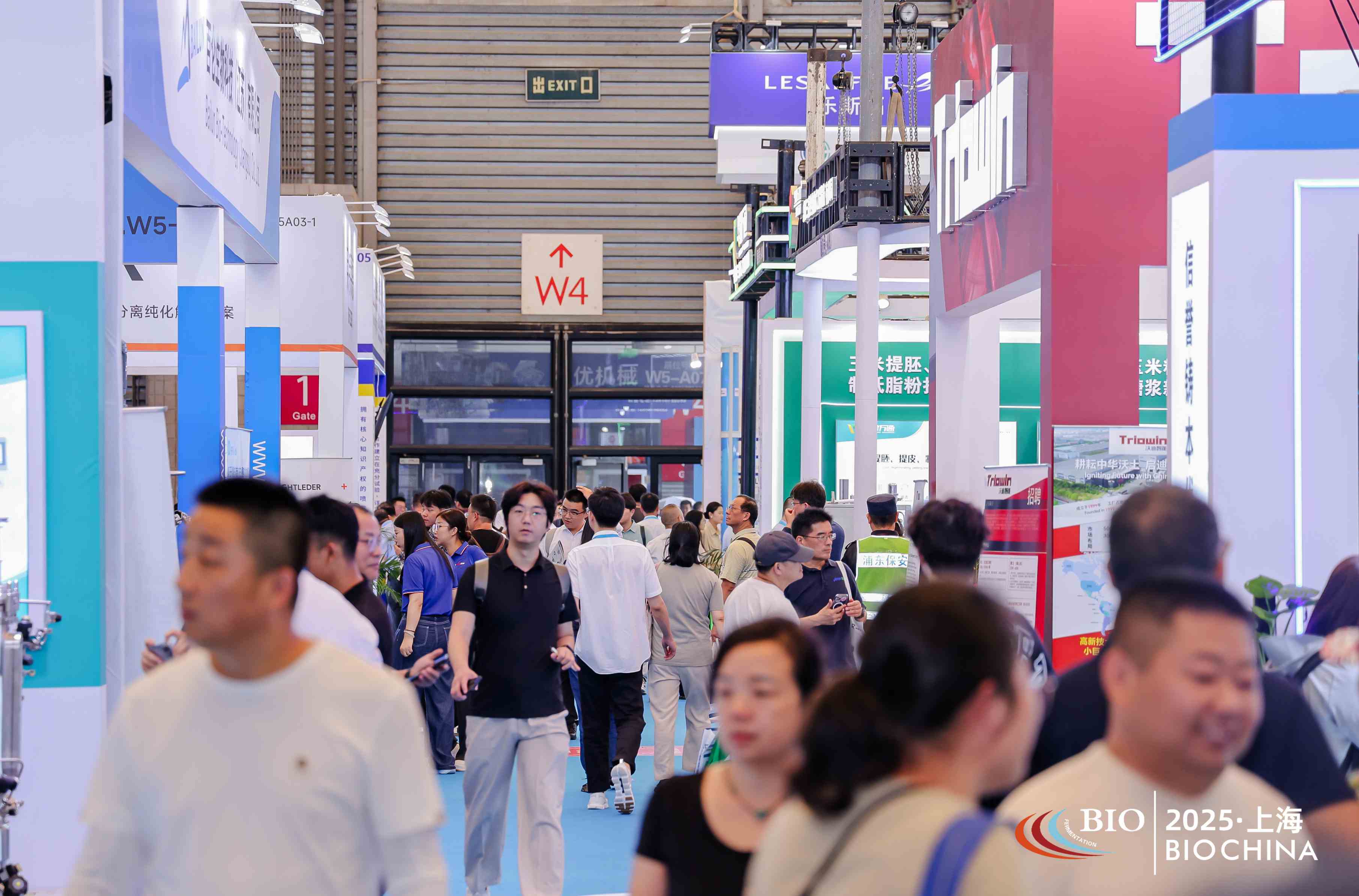 JIAN8020.JPG JIAN8020.JPG