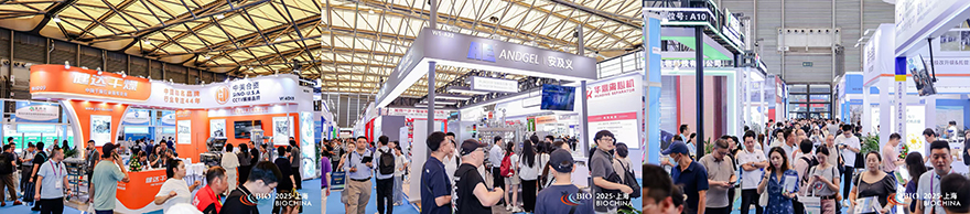 微信圖片_2025-08-14_085317_339.jpg 微信圖片_2025-08-14_085317_339.jpg